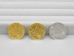メイプルリーフ金貨、プラチナイーグルコイン(裏面)